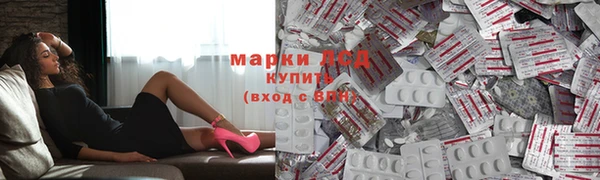 твердый Инсар