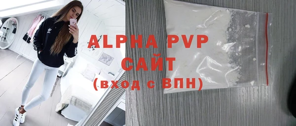 твердый Инсар