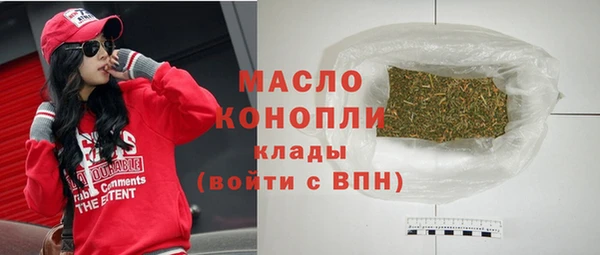 винт Инта