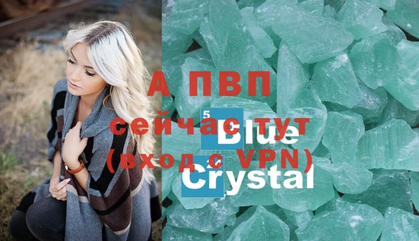 ГАЛЛЮЦИНОГЕННЫЕ ГРИБЫ Иннополис