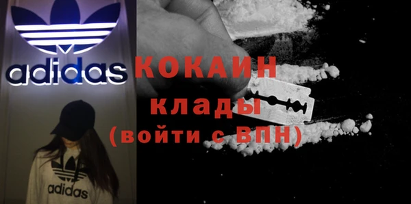 твердый Инсар