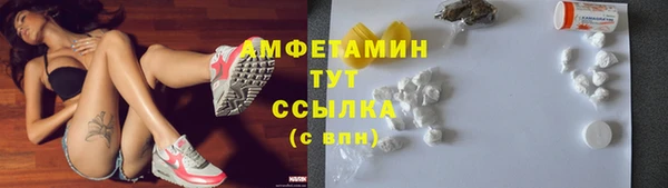 ГАЛЛЮЦИНОГЕННЫЕ ГРИБЫ Иннополис