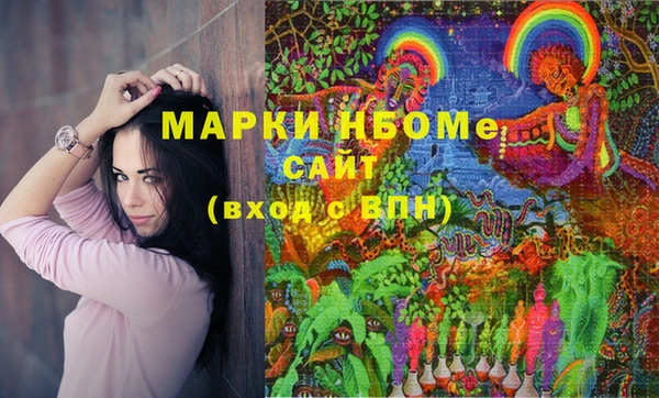 винт Инта