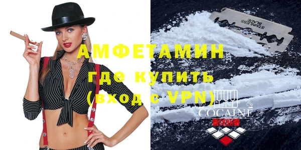 твердый Инсар