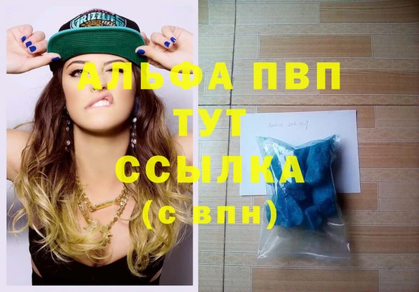 твердый Инсар
