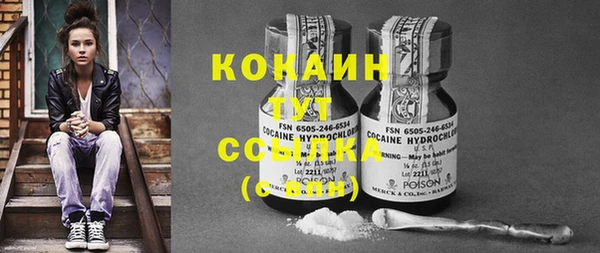 ГАЛЛЮЦИНОГЕННЫЕ ГРИБЫ Иннополис