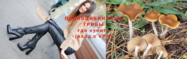 ГАЛЛЮЦИНОГЕННЫЕ ГРИБЫ Иннополис