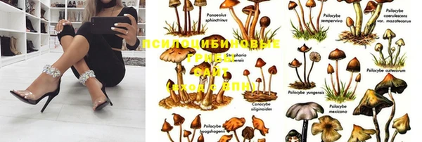 твердый Инсар