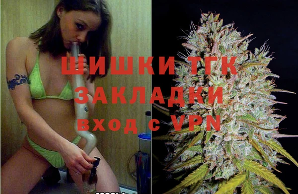 винт Инта