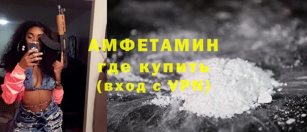 винт Инта