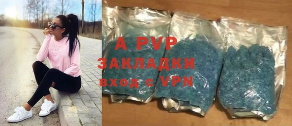 винт Инта
