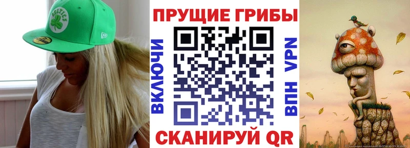 Галлюциногенные грибы GOLDEN TEACHER  Купить где  Сасово 